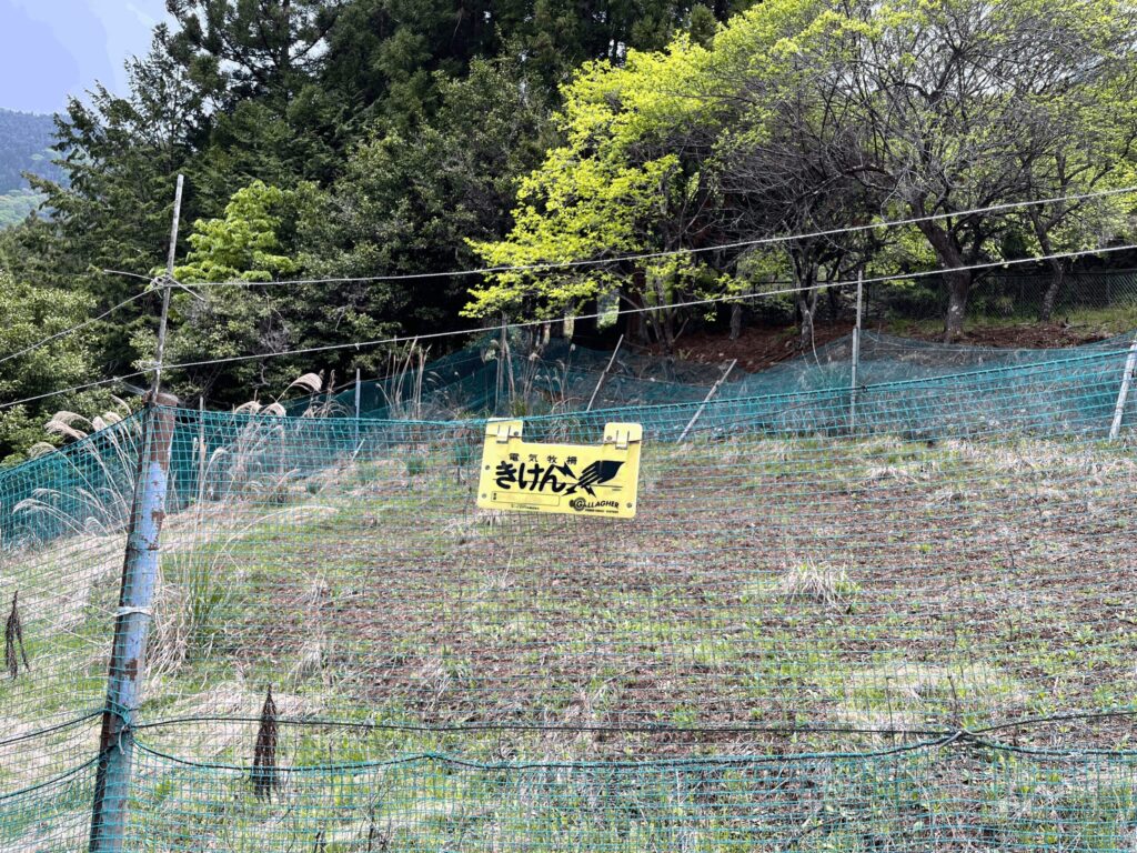 大達原へ向かう道の道中にあった電気牧柵(秩父市)