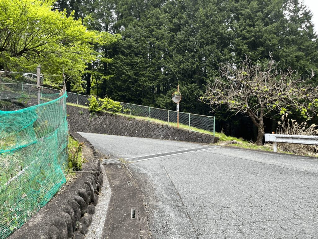 大達原へ向かう道路(左側に畑が見えている)
