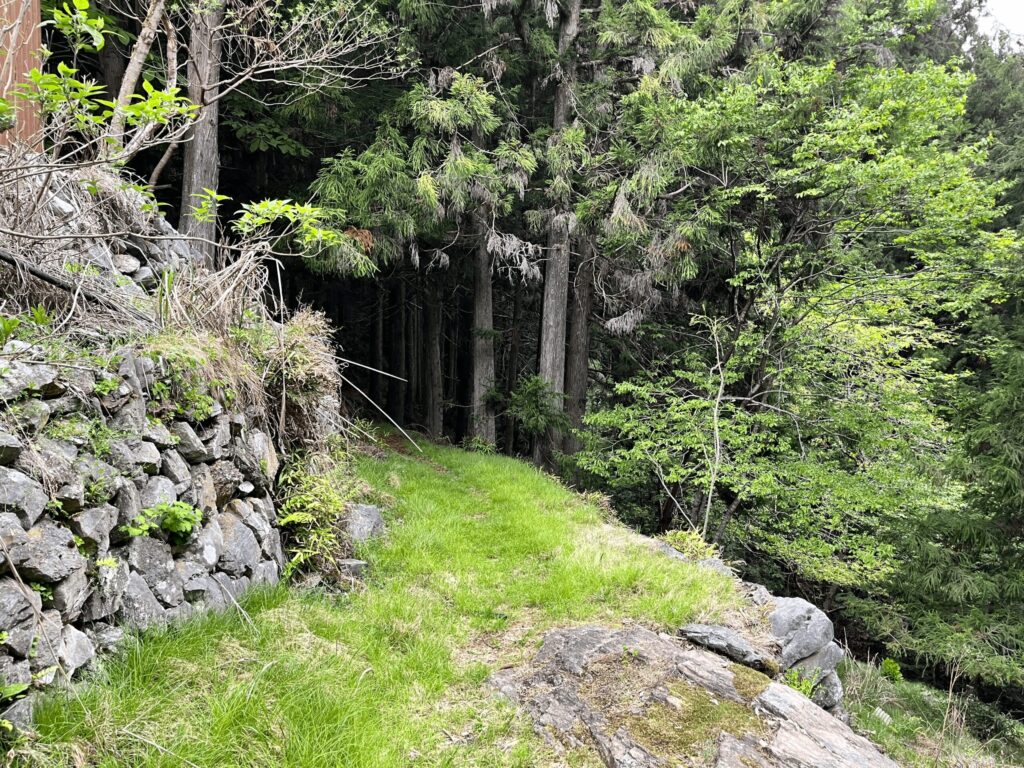 新緑が芽吹き始めた、秩父市の山道入口