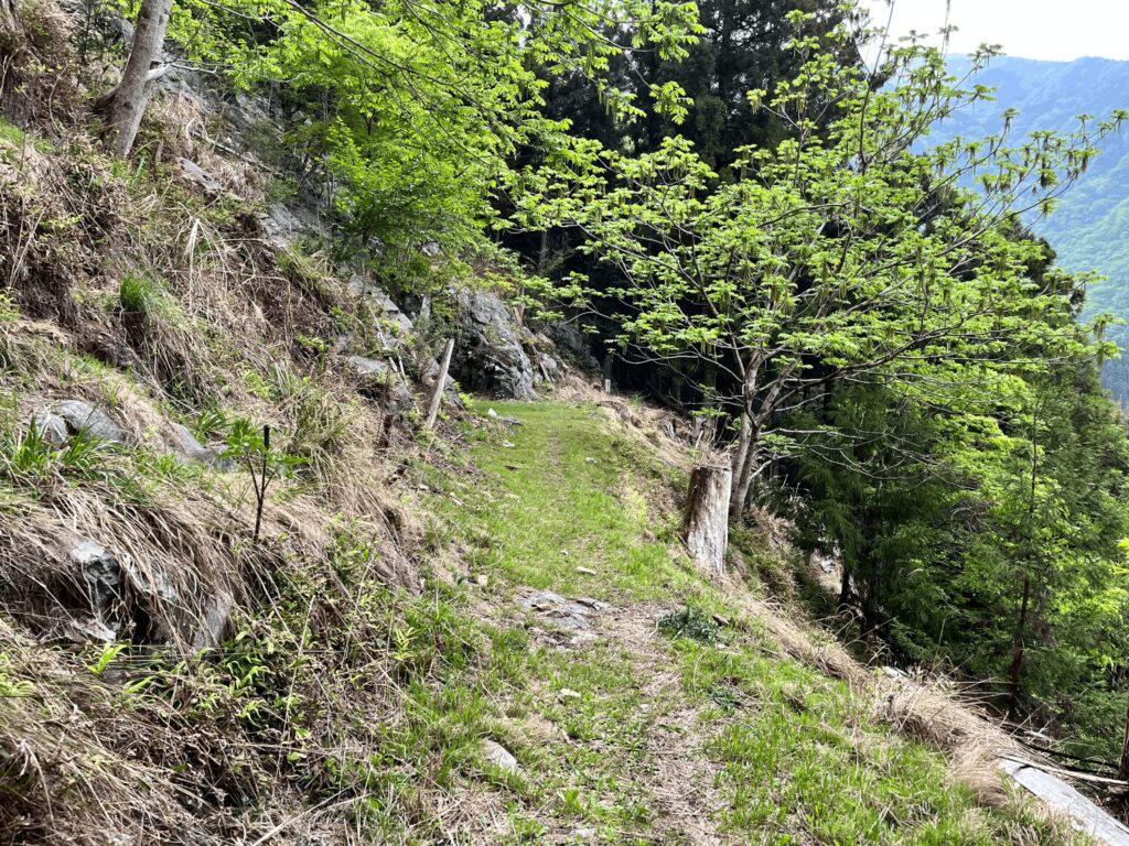 山道の道中(秩父市)
