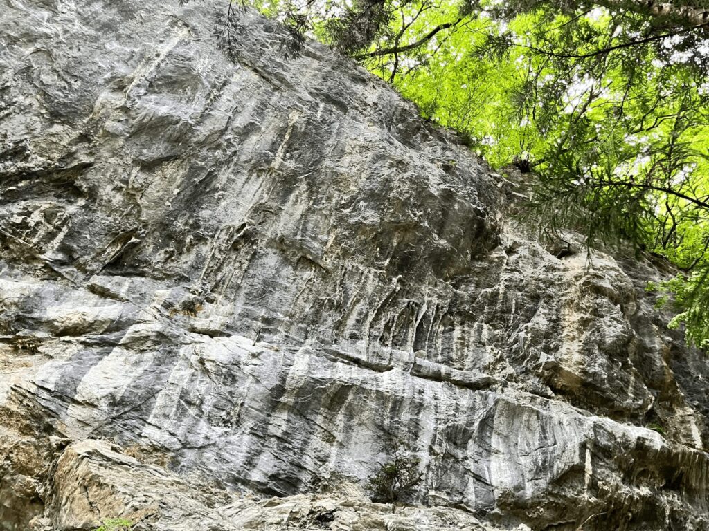 ロッククライミングで使われているハーケン(杭)が打ち込まれていた絶壁の岩壁