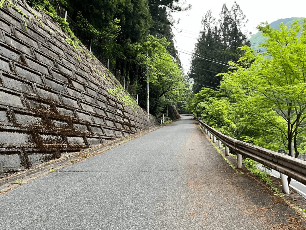 大達原区へと続く入口の道路